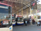 Buses.JPG (206 KB)